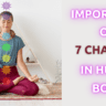 Importance of Seven Chakras in Human Body